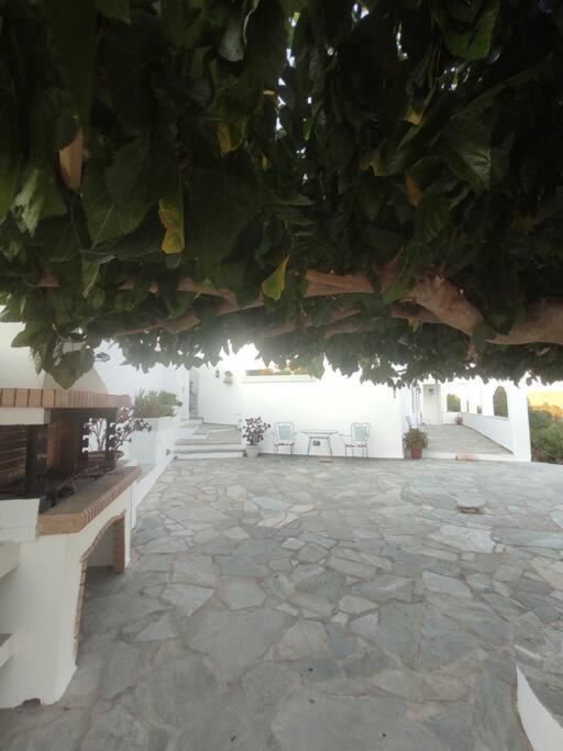 Stellinas Pretty House Villa Andros Town Exterior photo